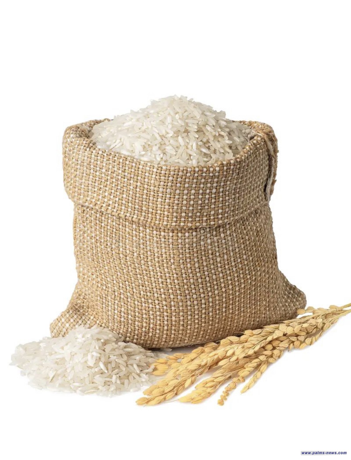 تعزيز السلة الغذائية العراقية بـ42 ألف طن من الرز التايلندي