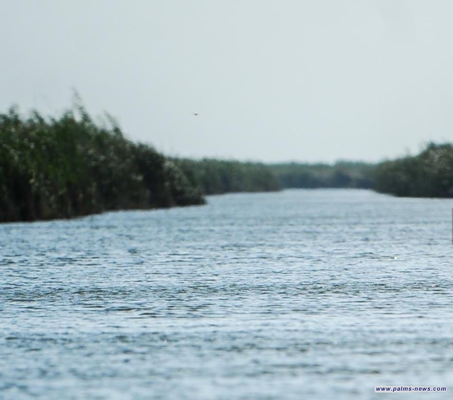 الموارد المائية تؤكّد تحقق 3 مكاسب جراء الأمطار الأخيرة