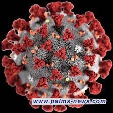 الصحة العالمية: موجة جديدة ستأتي من "كوفيد-19" آخر الصيف