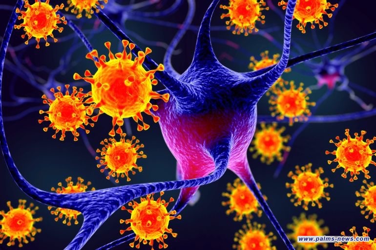 منظمة الصحة العالمية تحذر من فيروس نيباه وتؤكد إمكانية انتقاله دون أعراض