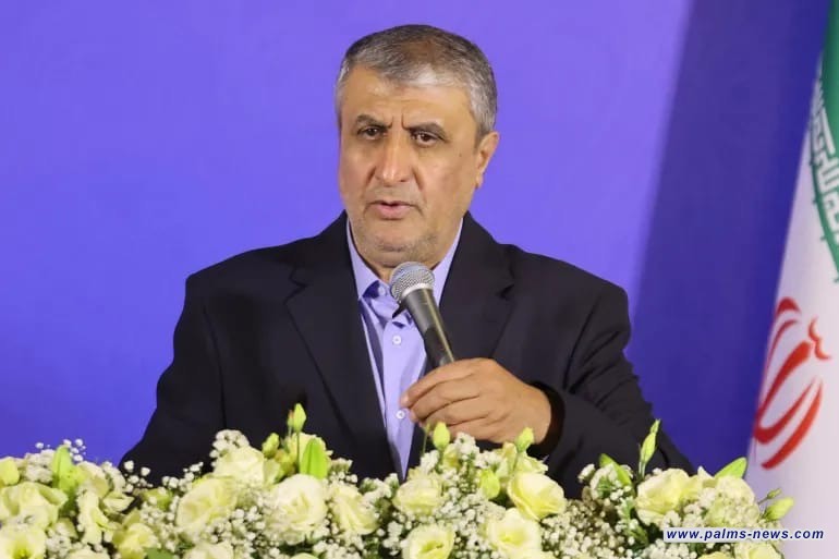 محمد إسلامي رئيسا لمنظمة الطاقة الذرية مجدداً