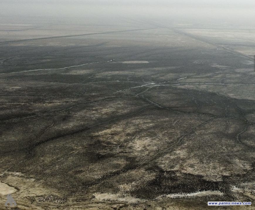 الأمم المتحدة تسلم العراق مشروع الأراضي الرطبة لمعالجة الجفاف والتلوث في ذي قار