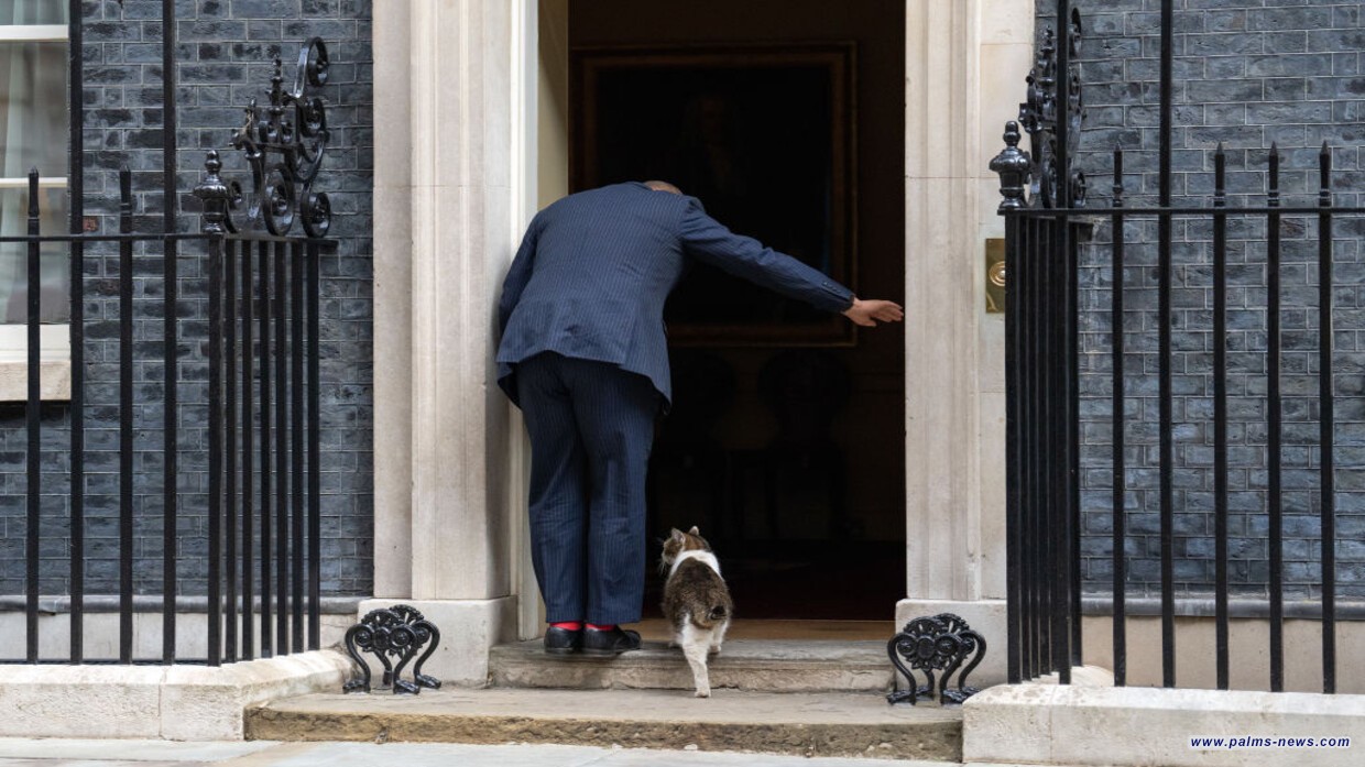 كبار مسؤولي بريطانيا يضعون خطة للتصرف حال موت "القط لاري"!