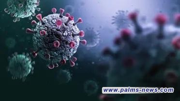 بعد زيادة عدد الأصابات.. أشياء يجب أن نعرفها عن كوفيد-19