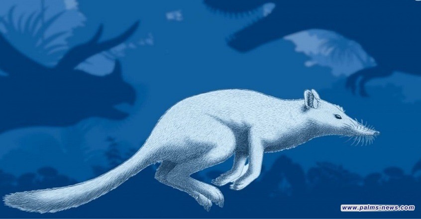 اكتشاف نوع غير معروف من الثدييات عاش في العصر الطباشيري