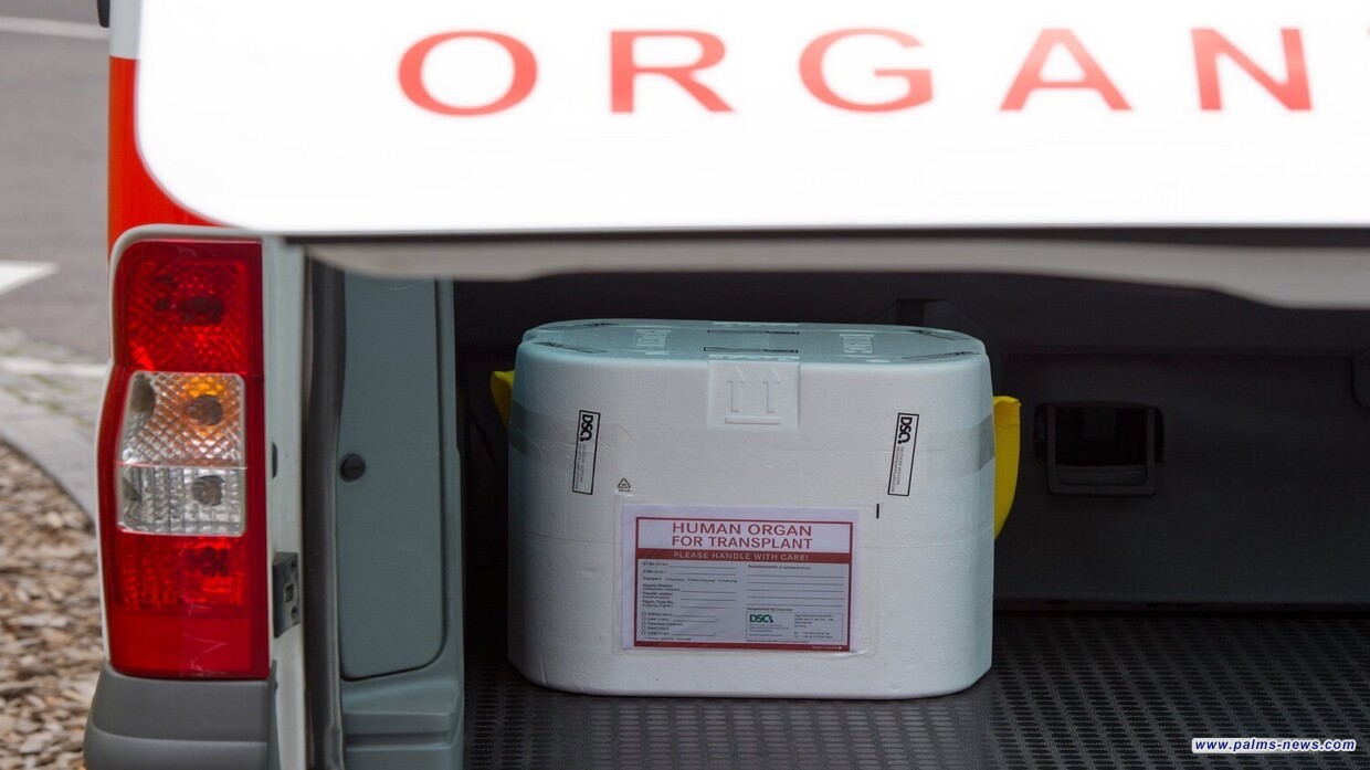 مصر.. الصدفة تكشف عصابة لشراء العيون بـ25 مليون جنيه للواحدة