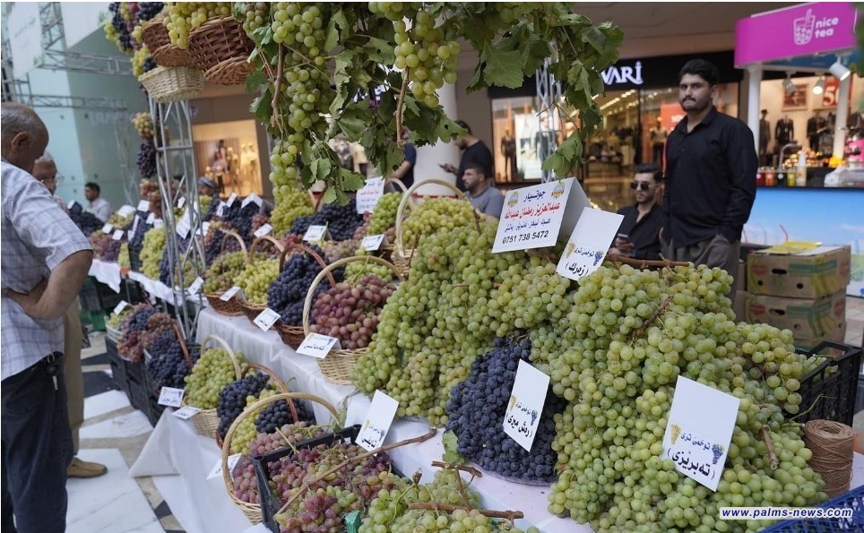 دهوك تفتتح مهرجانها السابع عشر للعنب والعسل