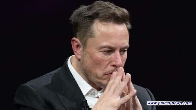 إيلون ماسك يحذّر إيطاليا من الانقراض ويدعوها لإنجاب المزيد من الأطفال