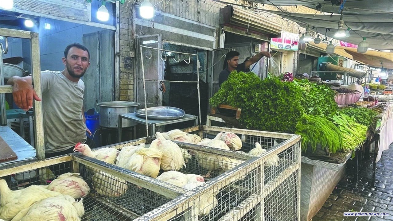 ابتداءً من منتصف كانون الثاني.. العراق يغلق أبواب الاستيراد أمام الدواجن