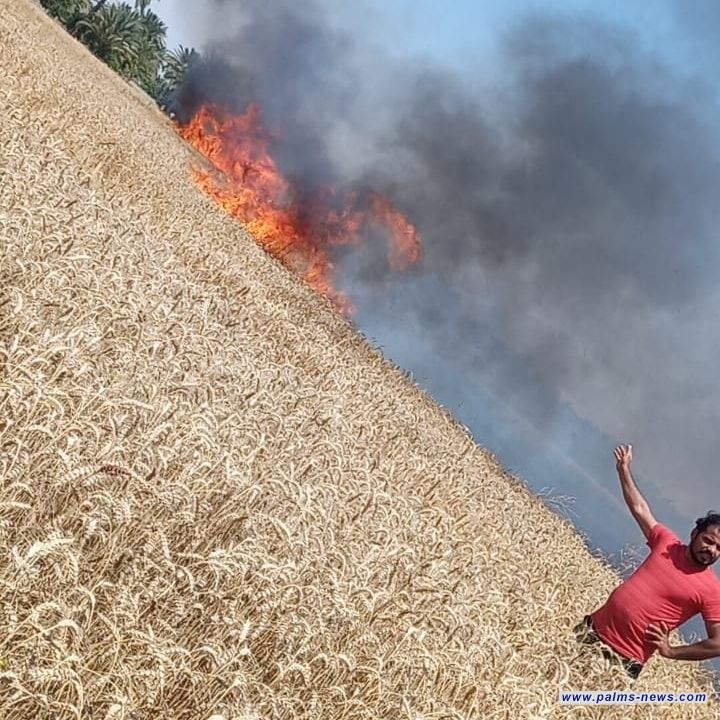 فرق الدفاع المدني تخمد حريقاً لحقول الحنطة بالنجف