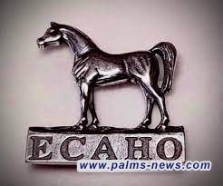 العراق ينضم عضوا بارزا إلى منظمة الايكاهو العالمية