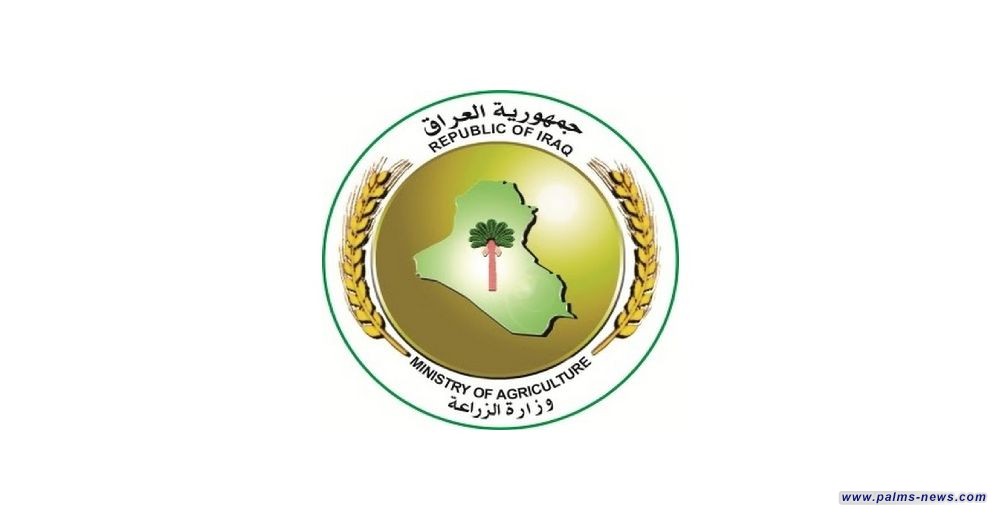 الزراعة تحددُ موعد استيراد الدجاج في العراق