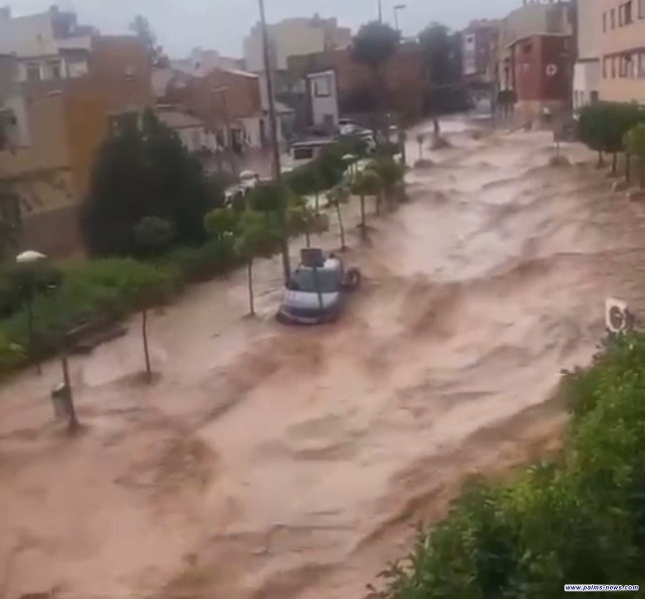 الأعنف في 30 عاما.. فيضانات عارمة تجتاح عدة دول أوروبية