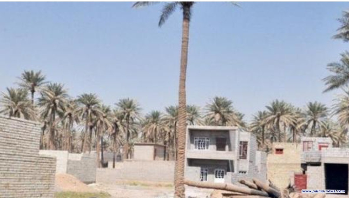 أمانة بغداد تعلن عن آلية جديدة لتنظيم دخول المواد الإنشائية إلى المناطق الزراعية