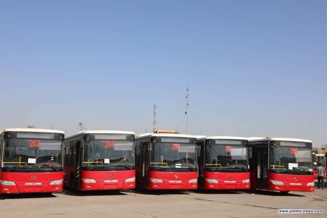 النقل: أكثر من  (600)  حافلة في خدمة زائري الأربعينية