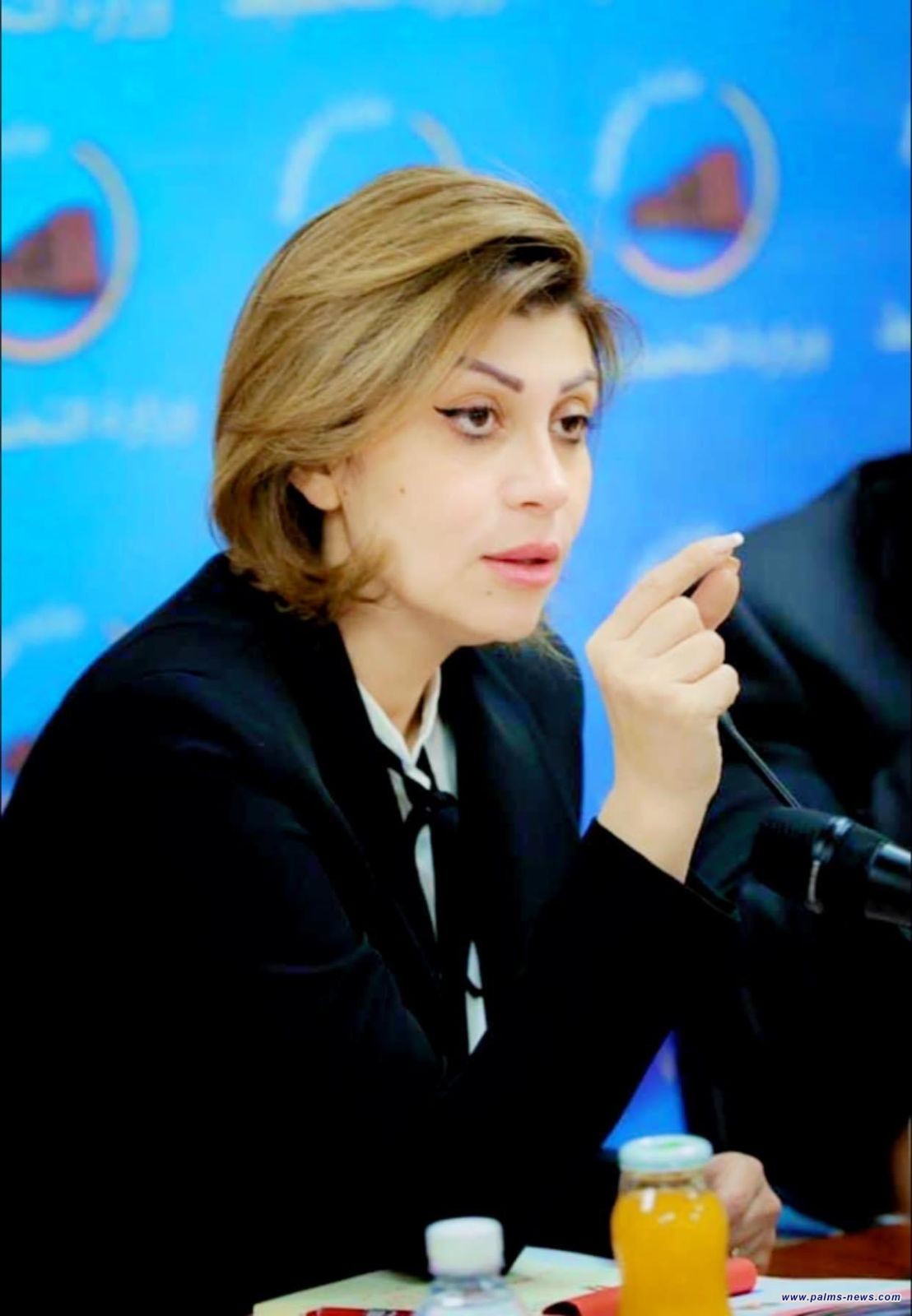 فائق تشيد بدور السيد السيستاني وفتوى الجهاد الكفائي