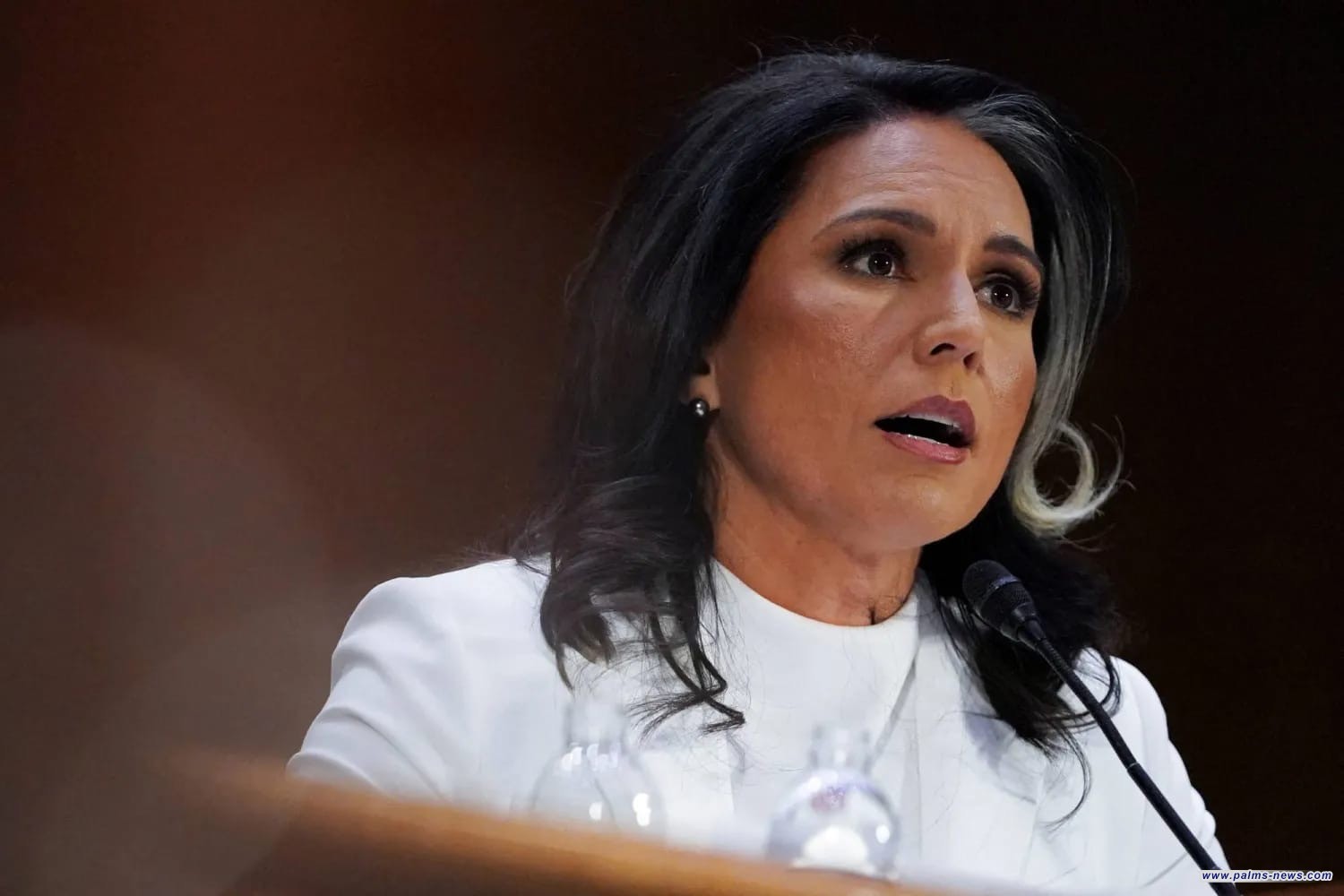 ترشيح غابارد مديرة للمخابرات الوطنية