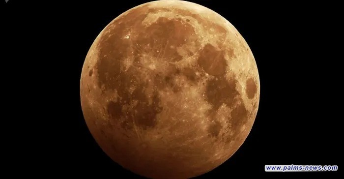 "الذئب العملاق".. عرض فلكي نادر يزين سماء 2026