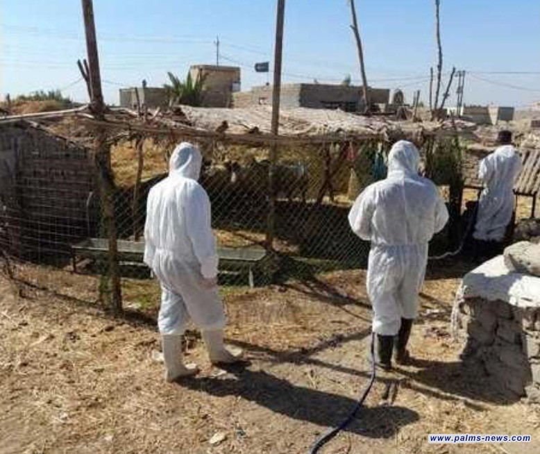 ارتفاع مقلق: الصحة تكشف عن حصيلة إصابات ووفيات الحمى النزفية في العراق