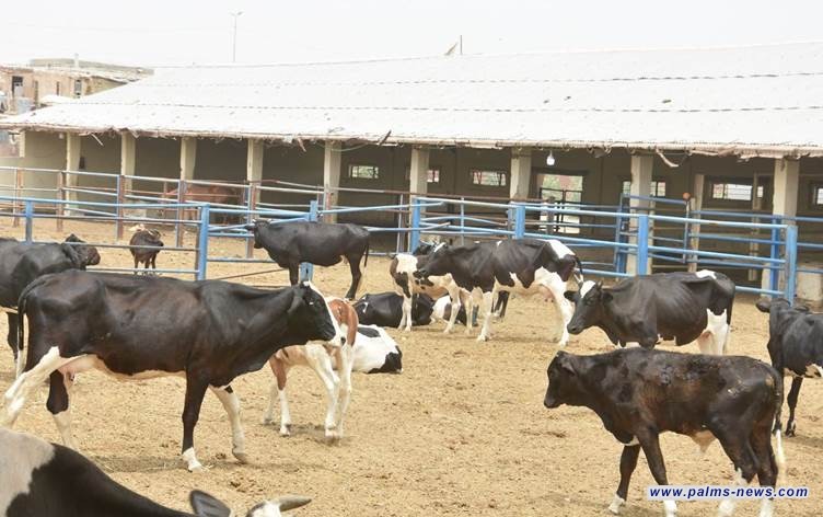 ارتفاع عدد الاصابات بالحمى النزفية في العراق الى 19 حالة