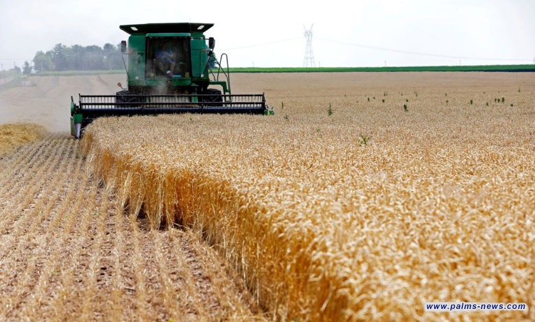 روسيا: رسوم تصدير القمح ستتضاعف بنحو ثلاث مرات