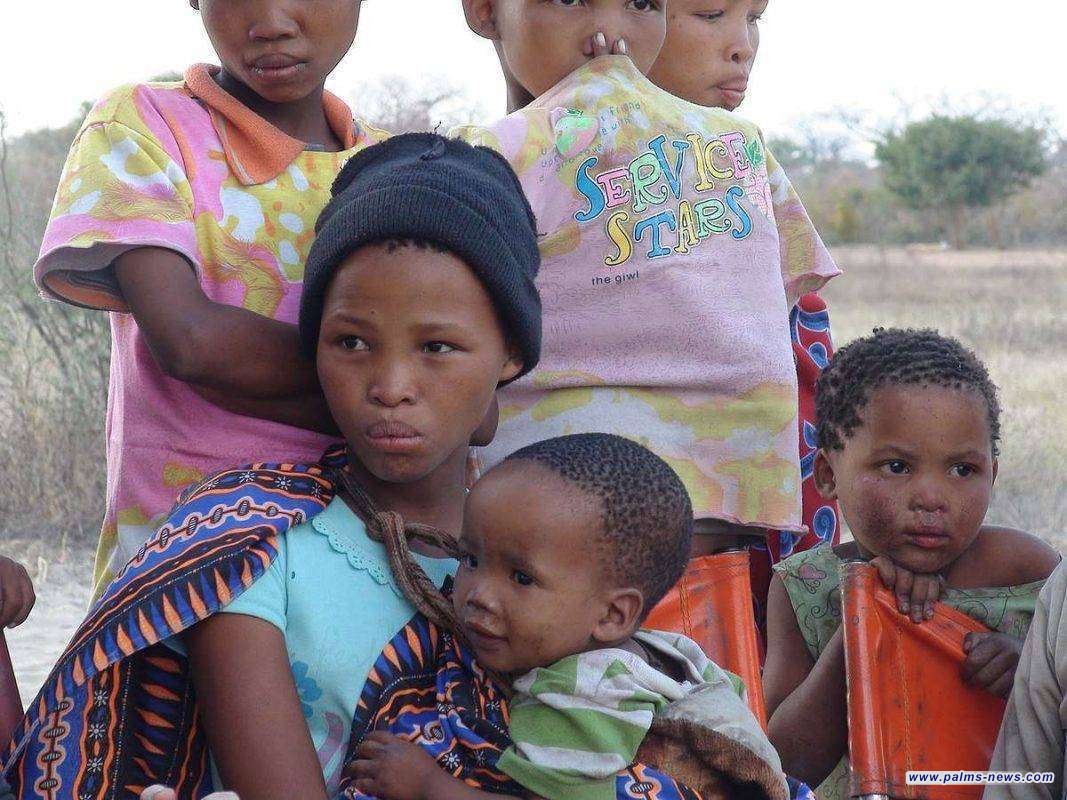 ناميبيا تذبح 700 حيوان بري بسبب أزمة المجاعة