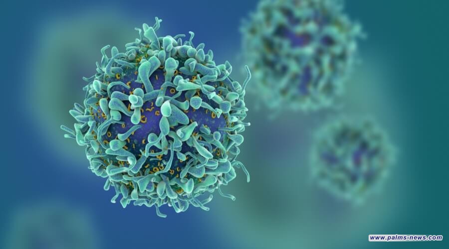 اكتشاف طريقة تقضي على الخلايا السرطانية بنسبة 99%