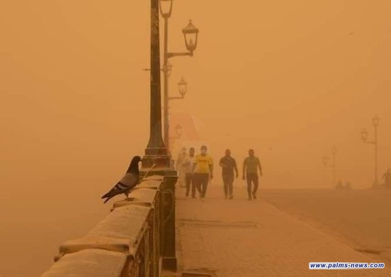 مرصد العراق الأخضر: جفاف الأراضي يتسبب بعواصف غبارية شتوية