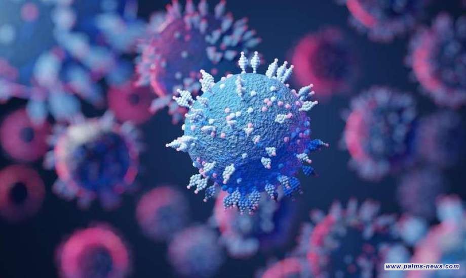 الصحة العراقية : عدم وجود إصابة بمتحور كورونا باسم "آيريس"