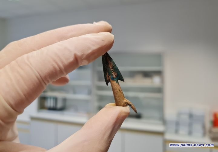 من الدول الاسكندنافية الى العراق.. متى نشبت "الحرب العالمية الأولى الحقيقية"؟