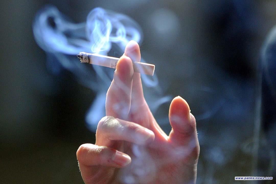 ماهي "المادة الرمادية" بأدمغة المراهقين المدخنين