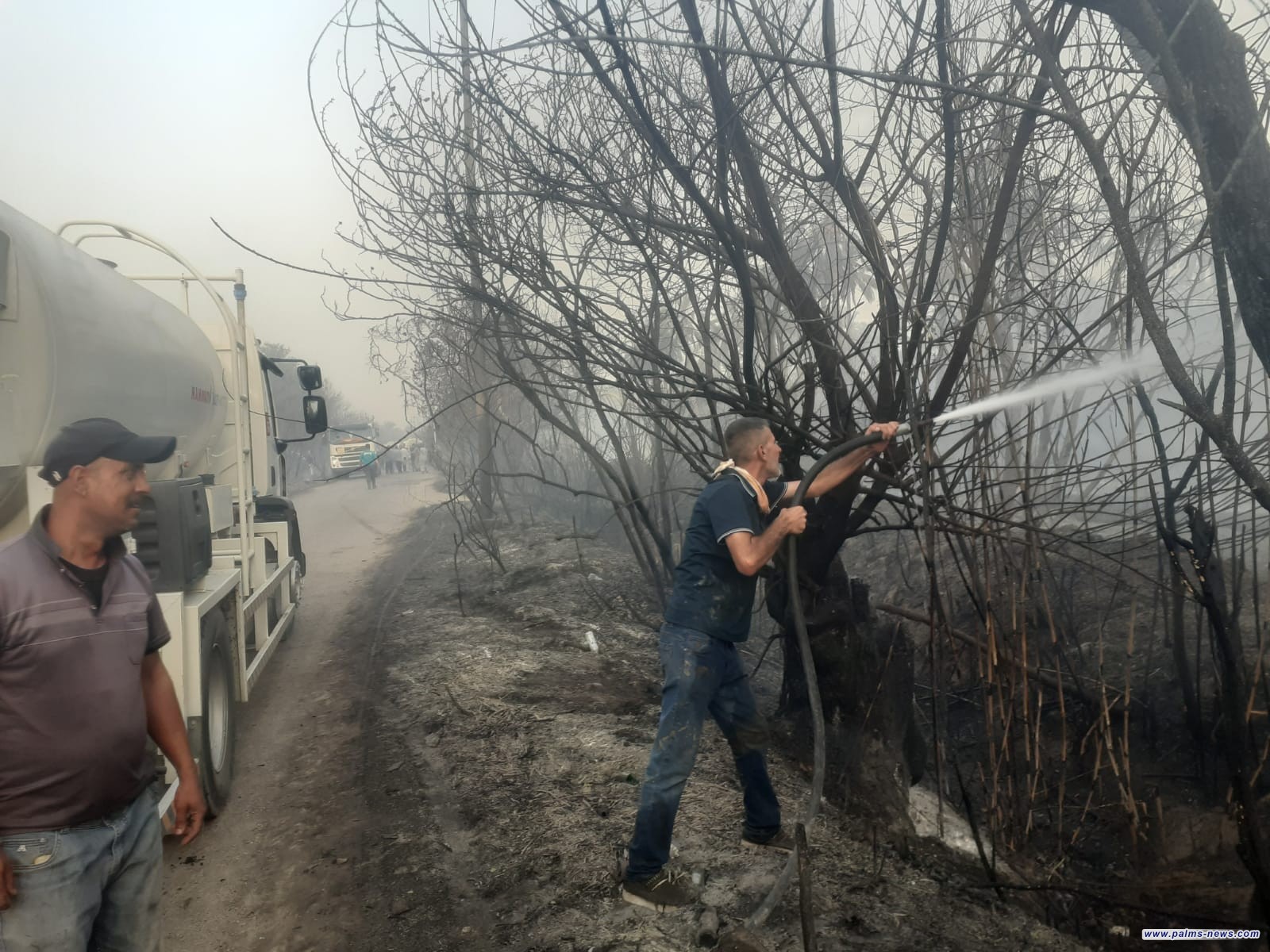 حريق يندلع ببساتين الصويرة و جهود استثنائية لإخماده