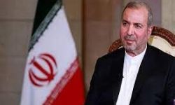 السفير الإيراني : تحركات الأمريكيين "مقلقة ومناهضة للسلام والاستقرار في المنطقة"