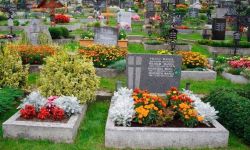 لصوص ينهبون أكثر من 200 قبر