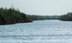 الموارد المائية تؤكّد تحقق 3 مكاسب جراء الأمطار الأخيرة