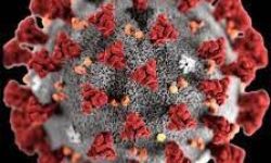 الصحة العالمية: موجة جديدة ستأتي من "كوفيد-19" آخر الصيف