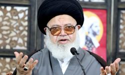 العلامة الغريفي : قرار الملك بالإفراج عن المعتقلين خطوة مباركة