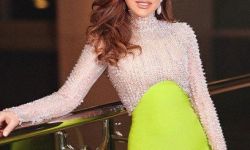 "نجوى كرم تهنئ شيرين بمناسبة طلاقها