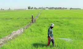 الزراعة تعلن توقف مشاريع مكافحة التصحر وتثبيت الكثبان الرملية