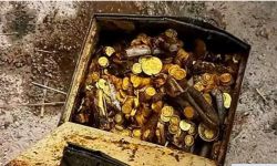 سعيد الحظ.. فضول سباك يقوده لـ"كنز ذهبي"