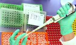 شحنة ملوثة من دواء لمكافحة السعال في العراق