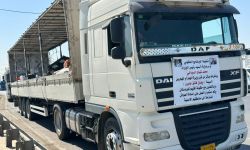 وزيرة الهجرة تعلن عودة (293) نازحا إيزيديا