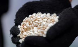 الداخلية تضبط عجلة تحمل 7 ملايين حبة كبتاجون في بغداد