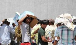 وزارة العمل : تشغيل نسبة 50% من اليد العاملة الوطنية تقابلها نسبة تشغيل 50%