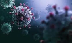 بعد زيادة عدد الأصابات.. أشياء يجب أن نعرفها عن كوفيد-19