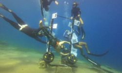 مغامر مصري يدخل موسوعة جينيس..