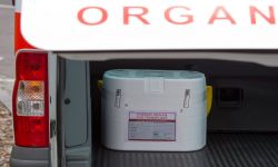 مصر.. الصدفة تكشف عصابة لشراء العيون بـ25 مليون جنيه للواحدة