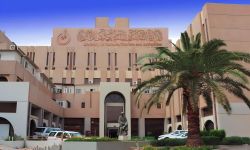 وزارة الثقافة تطلق المكافآت التشجيعية للصحفيين والفنانين والأدباء