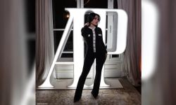 سر منع هيفاء وهبي من الغناء في مصر