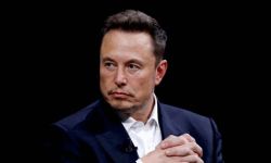 الحكومة الألمانية تردّ بقوة على إيلون ماسك